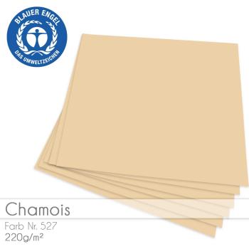 Cardstock "Basic" 12"x12" 220g/m² (30,5 x 30,5cm) in chamois