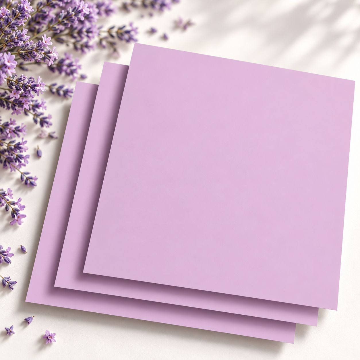 lavendel-36