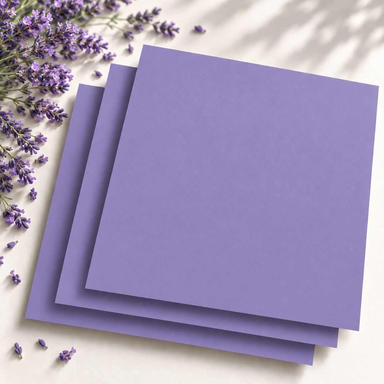 violett-31