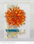 Preview: My Favorite Things Die-namics "Beautiful Bloom" | Stanzschablone | Stanze | Craft Die
