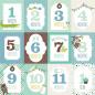 Preview: Echo Park "Sweet Baby Boy" 12x12" Collection Kit