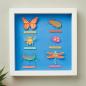 Preview: Xcut Stanzschablone "Insects"