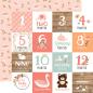 Preview: Echo Park "Baby Girl" 12x12" Collection Kit