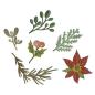 Preview: Sizzix Thinlits Craft Die-Set - Large Funky Festive Florals by Tim Holtz