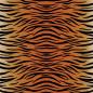 Preview: Cricut Infusible Ink Transfer Sheet Patterns Animal (2006788)