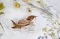 Preview: Craft Consortium Wildflower Meadow Clear Stamps Wildblumenwiese