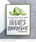 Preview: My Favorite Things Stempel "Totally Awesome" Clear Stamp