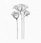 Preview: My Favorite Things "Fine-Lined Floral " Cling Stamp