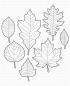 Preview: My Favorite Things Die-namics "Falling Leaves" | Stanzschablone | Stanze | Craft Die