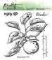 Preview: Picket Fence Studios Vintage Apple 4x4 Inch Clear Stamps 