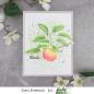 Preview: Picket Fence Studios Vintage Apple 4x4 Inch Clear Stamps 