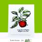 Preview: Picket Fence Studios Vintage Apple 4x4 Inch Clear Stamps 