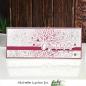 Preview: Picket Fence Studios Fancy Congratulations Sentiments 4x6 Inch Clear Stamps (S-181)
