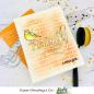 Preview: Picket Fence Studios Life Sucks without You 2x3 Inch Clear Stamps 