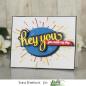 Preview: Picket Fence Studios Ways to Express Yourself 4x8 Inch Clear Stamps 