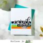 Preview: Picket Fence Studios Ways to Express Yourself 4x8 Inch Clear Stamps 