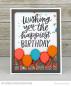 Preview: My Favorite Things Die-namics "Balloon Cover-Up" | Stanzschablone | Stanze | Craft Die