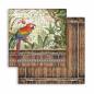 Preview: Stamperia "Amazonia" 8x8" Paper Pack - Cardstock