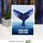 Preview: Picket Fence Studios A Whale Breaching 4x4 Inch Clear Stamps 