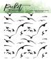 Preview: Picket Fence Studios Birds in Flight 4x4 Inch Clear Stamps 