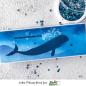 Preview: Picket Fence Studios Whale and Mermaid 6x6 Inch Stencil - Schablone