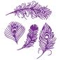 Preview: Crafters Companion -Peacock Plumage Dies - Stanze