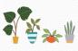 Preview: My Favorite Things Die-namics "Houseplants" | Stanzschablone | Stanze | Craft Die