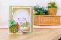 Preview: Crafters Companion - Sensational Succulents - Succulent Textures - Clear Stamps