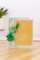 Preview: Crafters Companion -Sensational Succulents - Terrarium - Prägefolder