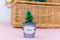 Preview: Crafters Companion - Sensational Succulents Metal Dies Jade  - Stanze