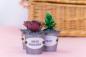 Preview: Crafters Companion - Sensational Succulents Metal Dies Jade  - Stanze