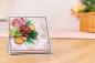 Preview: Crafters Companion - Sensational Succulents Metal Dies Lila China  - Stanze