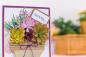 Preview: Crafters Companion - Sensational Succulents Metal Dies Merry Maiden  - Stanze