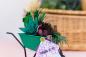 Preview: Crafters Companion - Sensational Succulents Metal Dies Neon Breakers  - Stanze