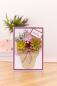 Preview: Crafters Companion - Sensational Succulents Metal Dies Plant Pot  - Stanze