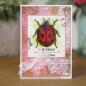 Preview: Woodware Little Ladybird  Clear Stamps - Stempel 