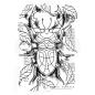 Preview: Woodware Stag Beetle  Clear Stamps - Stempel 