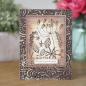 Preview: Woodware Wild Garden  Clear Stamps - Stempel 