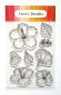 Preview: Janes Doodles " Hibiscus" Clear Stamp - Stempelset