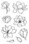 Preview: Janes Doodles " Magnolia" Clear Stamp - Stempelset