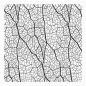 Preview: My Favorite Things "Leaf Skeleton" 6x6" Background Cling Stamp