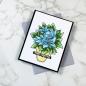 Preview: LDRS-Creative Potted Poinsettia Coordinating Dies - Stanzen