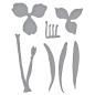 Preview: Spellbinders Die "Amaryllis Etched" Stanzschablone