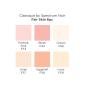 Preview: Spectrum Noir Classique Alkoholmarker Fair Skin (6 Pcs)