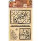 Preview: Studio Light - Clear Stamp Warm - cozy clear stamp Flower collages nr.109