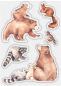 Preview: Craft Consortium In The Forest Clear Stamps Bear 