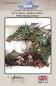 Preview: The Card Hut Mythical Creatures: Homecoming  Clear Stamps Stempelset 