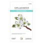Preview: Spellbinders Die "Dogwood" Stanzschablone
