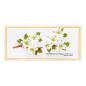 Preview: Spellbinders Die "Dogwood" Stanzschablone