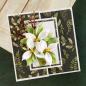 Preview: Spellbinders Die "Trillium " Stanzschablone